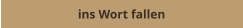 ins Wort fallen
